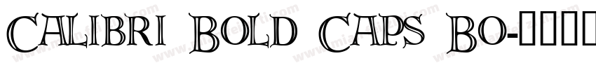 Calibri Bold Caps Bo字体转换